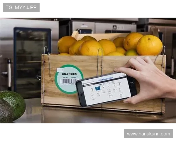 K8凯时·国际官方网站：最新安全保障措施与用户保障方案